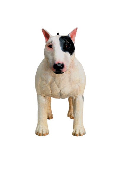 bullseye-F image