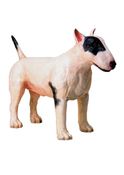 bullseye-S image