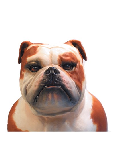 Patch image