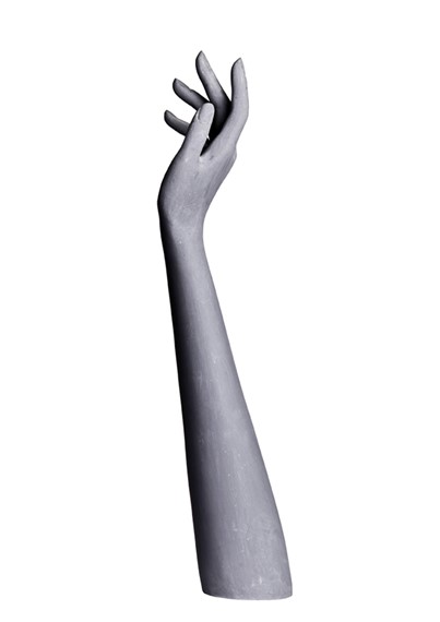 DLH1R image