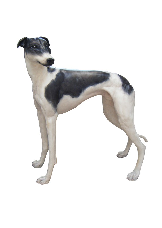 GREYHOUND A