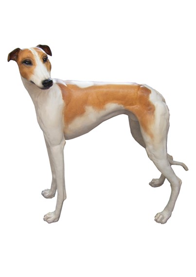 GREYHOUND B image