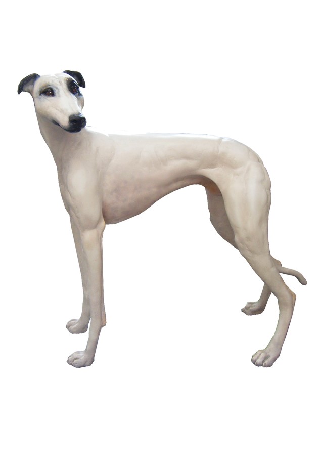 GREYHOUND C image