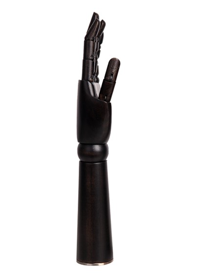 AHML-36 image