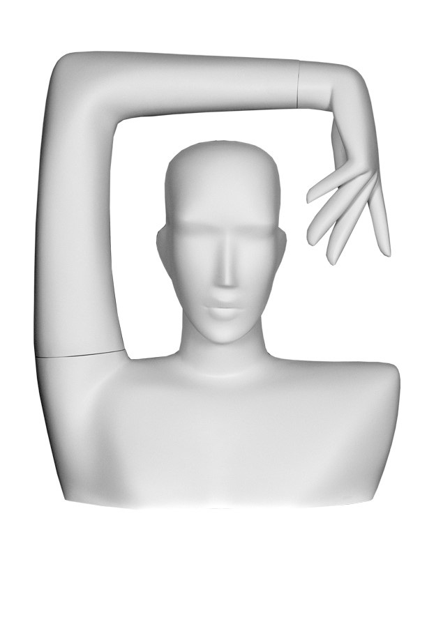 INCA ACCY image