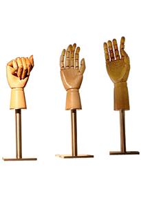 Wooden hand & Base