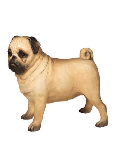 Alfie image