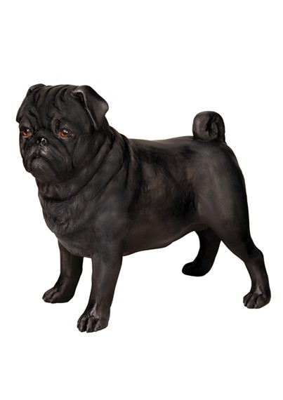 Rocco image