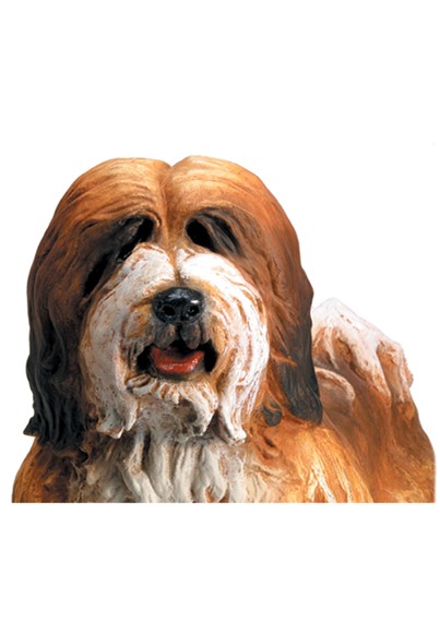 amber-H image