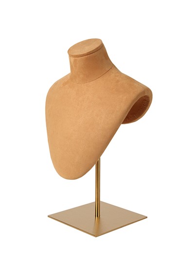 ACCY4-BASE image