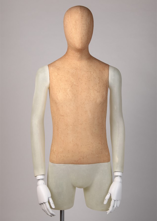 EMT13 image