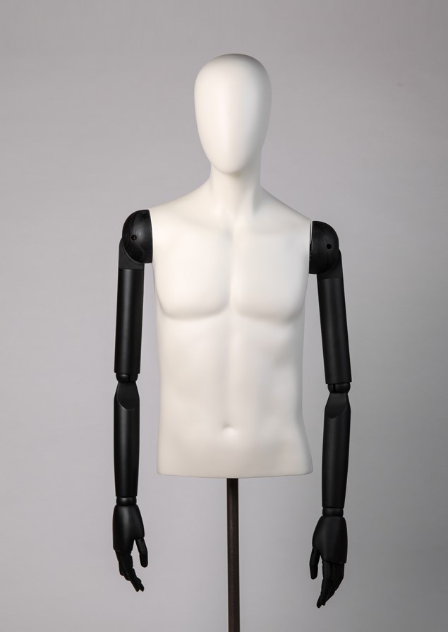 EMT31 image