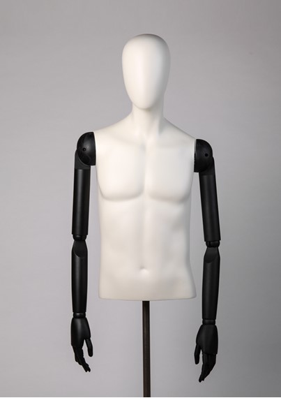 EMT31 image