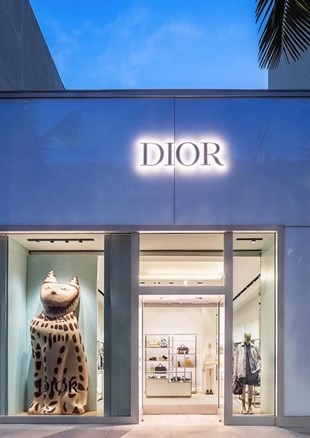 Dior Summer 25 Hylton Nel_12