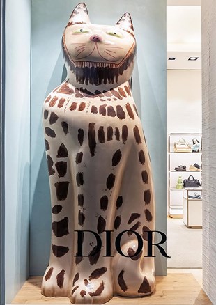 Dior Summer 25 Hylton Nel_20