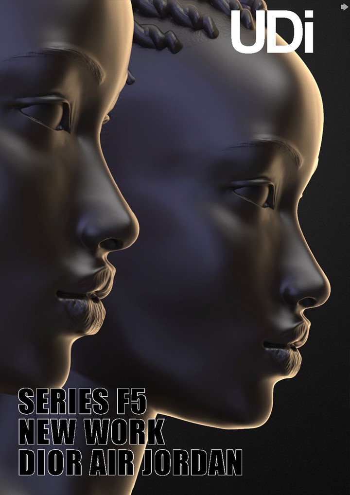 Download UDI 2021-1