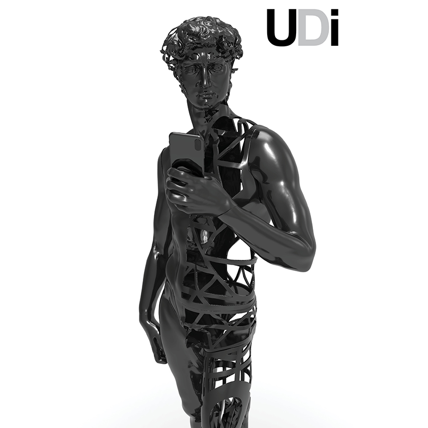 UDI 2020 Click to open