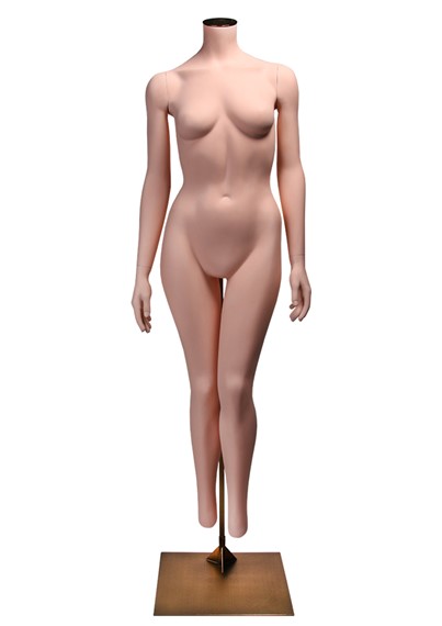 TS1 image