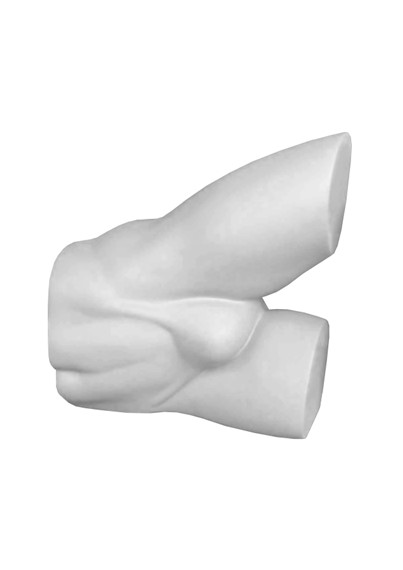 BH4 image