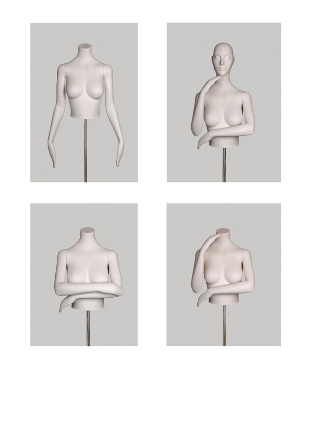 Solar Torsos image