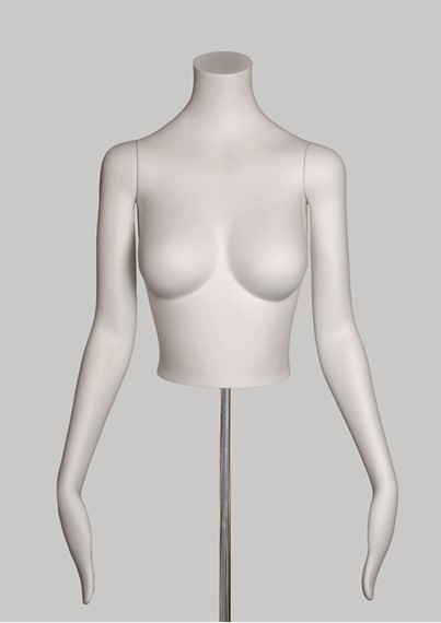 ST1 image