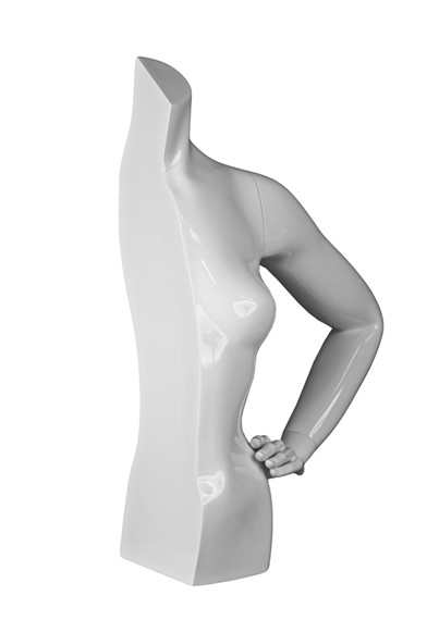WFT GS 1/2 L image