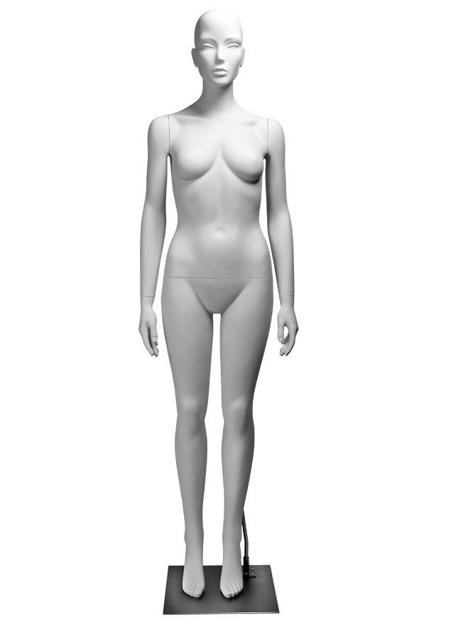 TS6 image
