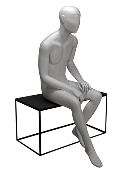 CCM3 image