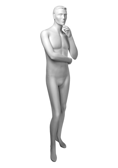 CCM5 image