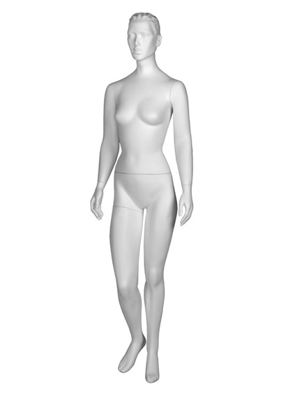 BS1 image