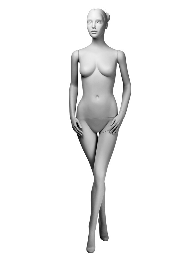 CP15 image