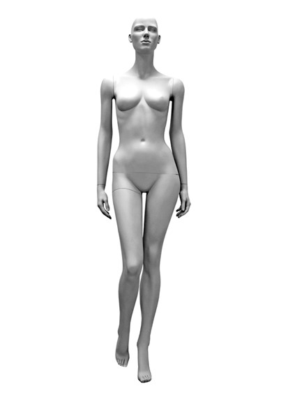 DL 2 image