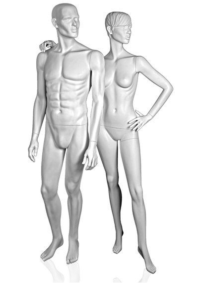 DL13 image