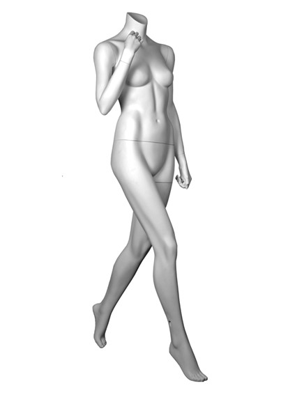 DL16 image