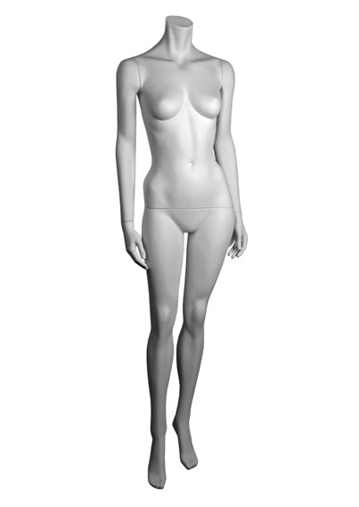 DL18 image