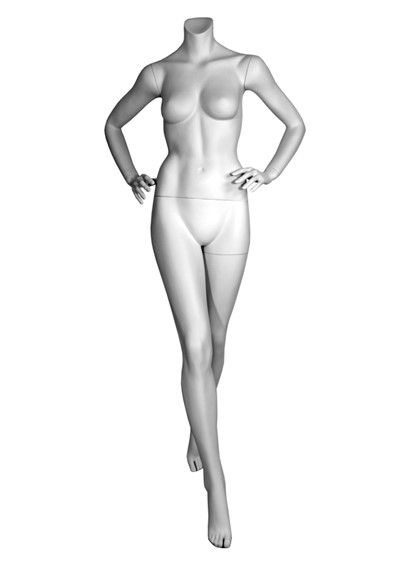 DL6 image