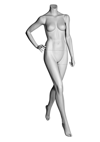 DL7 image