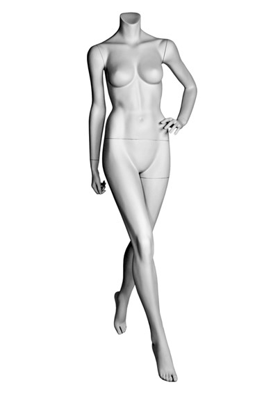 DL8 image
