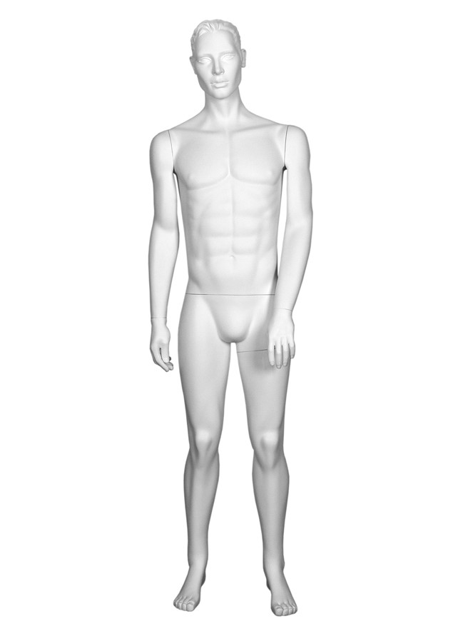 GLM6 image