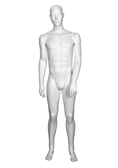 GLM6 image