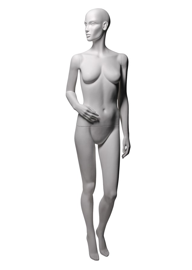 VG2 image