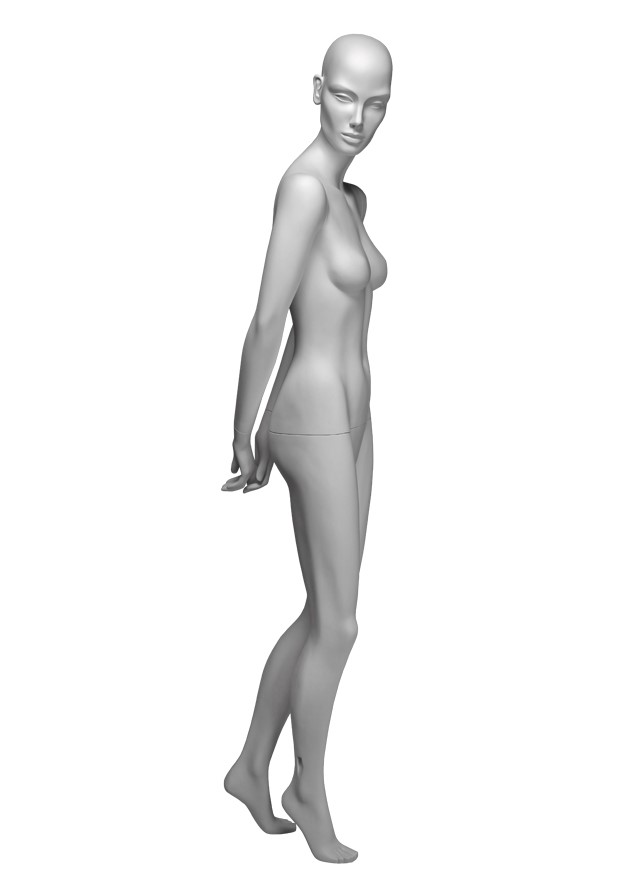 VG4 image