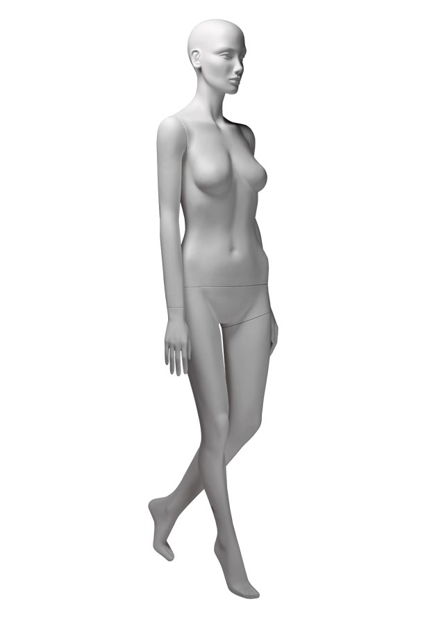 VG5 image