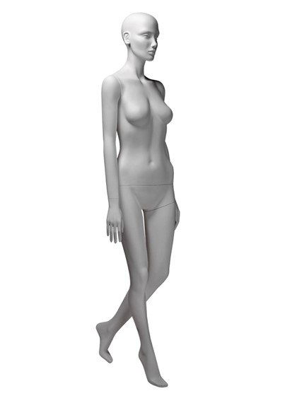 VG5 image