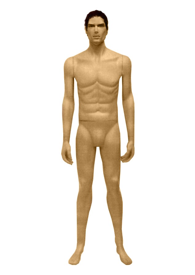 LM3A image