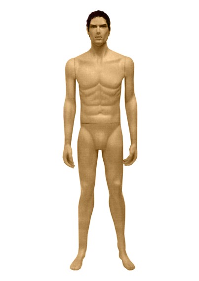 LM3A image