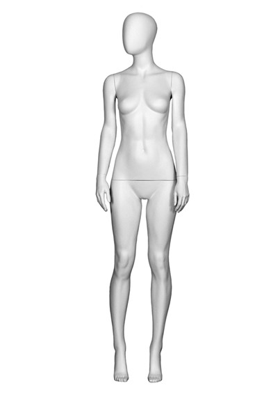 T1-4 image