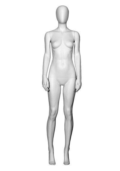 T1 image