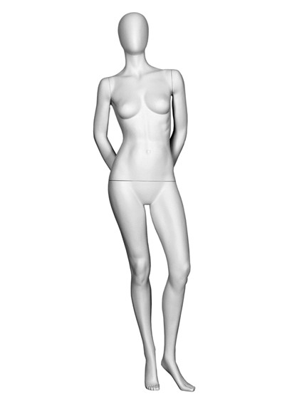 T3-1 image