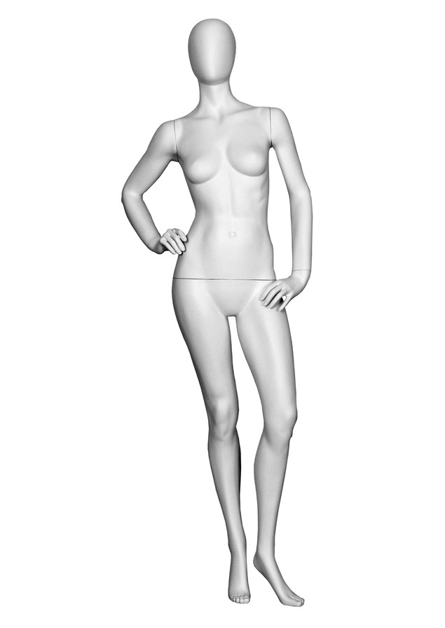 T3-2 image
